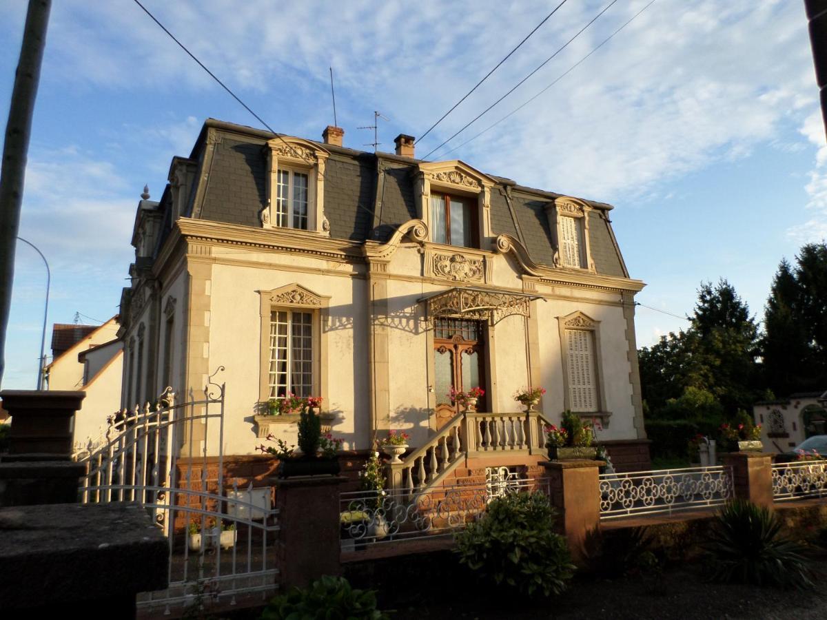 Studio-Appartement A Proximite D'Une Maison De Maitre De 1904 Hagenau Exterior foto
